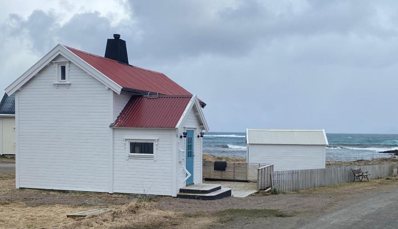 Roligheten Lodge In Andenes Exterior foto